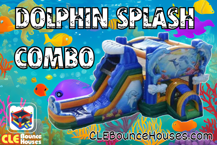 Dolphin Splash Combo (wet/dry)
