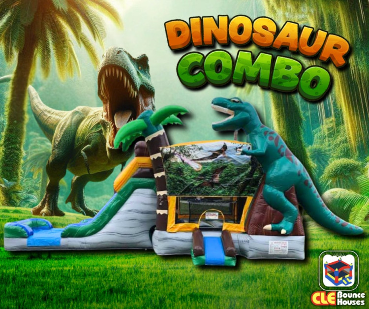 Dinosaur Combo (wet/dry)