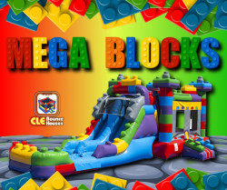 Mega Blocks Combo (wet/dry)