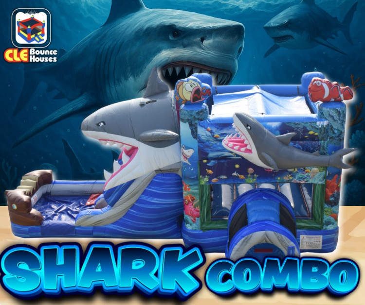 Shark Combo (wet/dry)